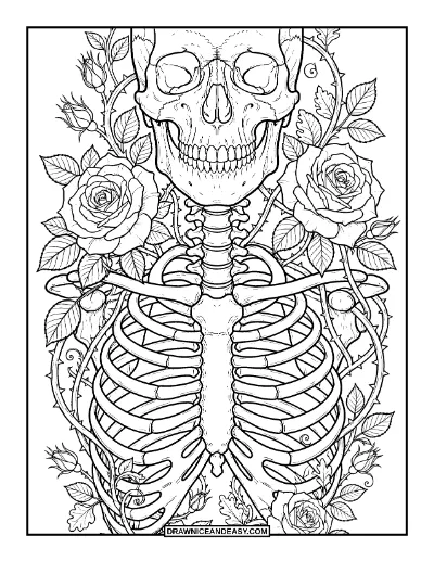 Detailed Skeleton with Roses Coloring Page for Adults coloring page preview