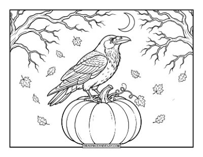 Raven on Pumpkin Coloring Page coloring page preview