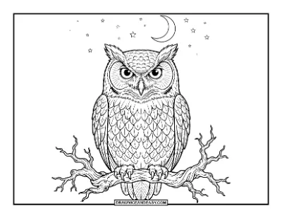 Scary Owl on a Dead Branch coloring page preview