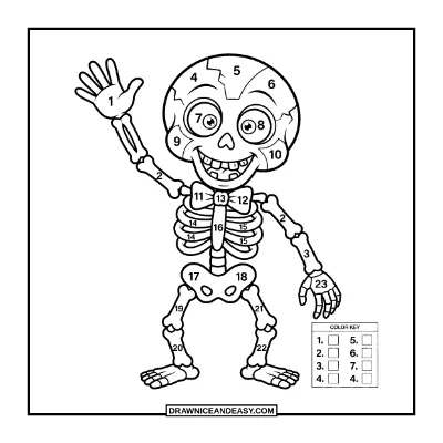 Skeleton Color by Number Coloring Page coloring page preview