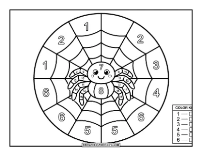 Spider Color by Number Coloring Page coloring page preview
