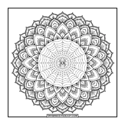 Spiderweb Mandala Coloring Page for Adults coloring page preview