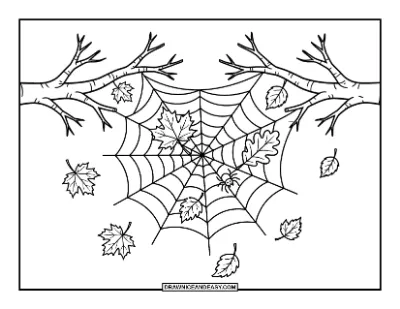 Spiderweb with Autumn Leaves Coloring Page coloring page preview
